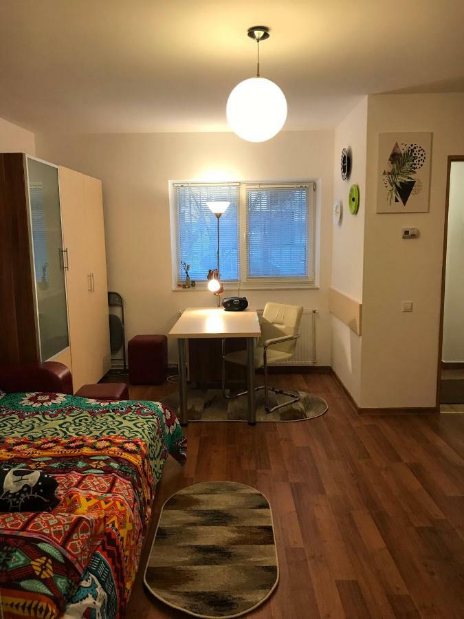 Idefix Apartment คลูจ-นาโปกา ภายนอก รูปภาพ