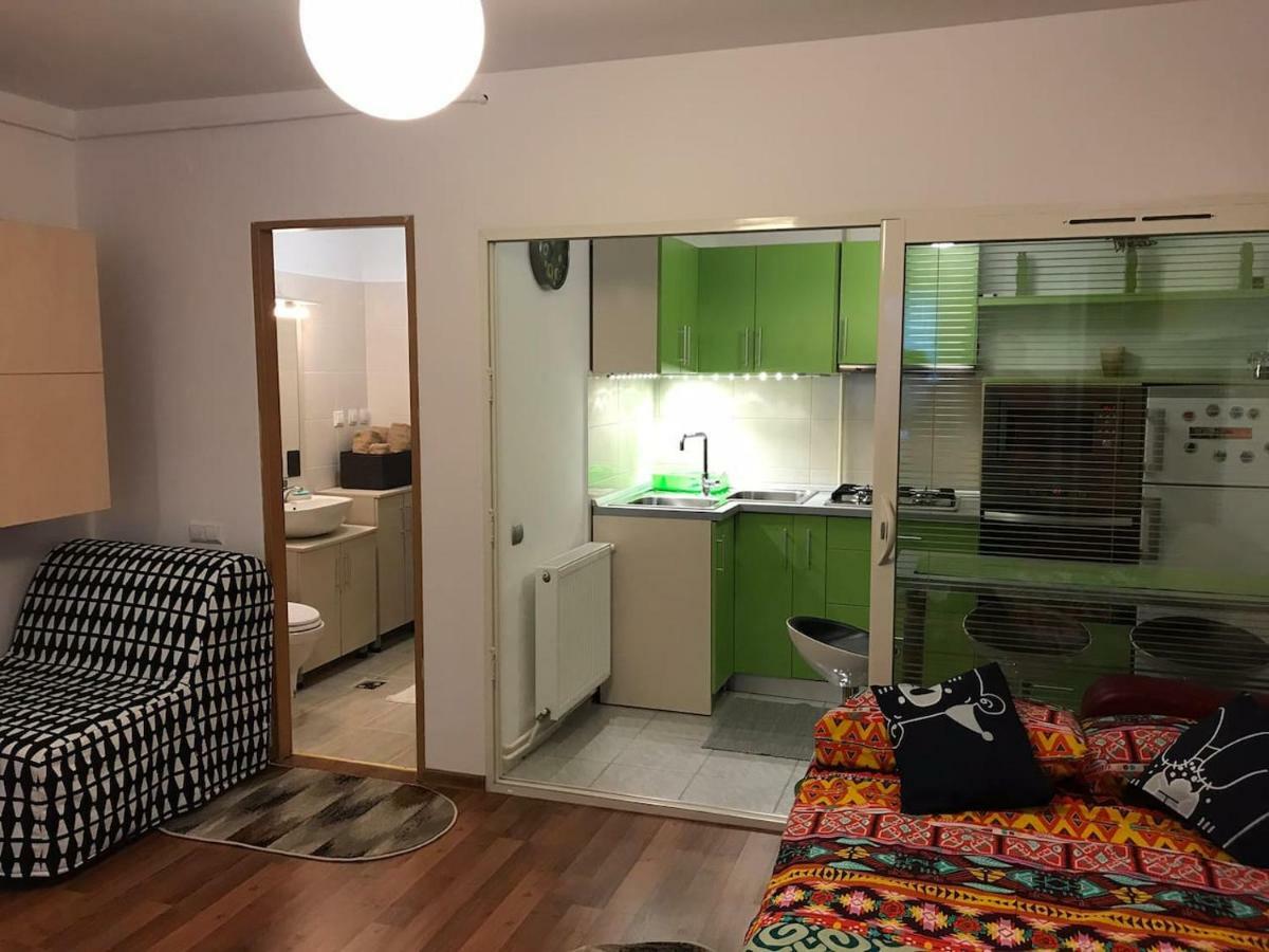 Idefix Apartment คลูจ-นาโปกา ภายนอก รูปภาพ