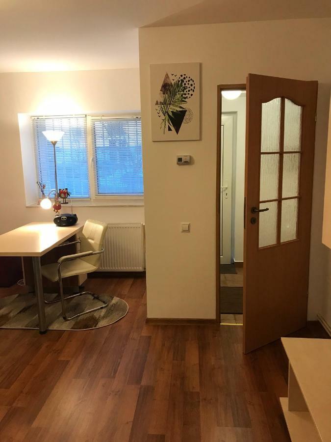 Idefix Apartment คลูจ-นาโปกา ภายนอก รูปภาพ