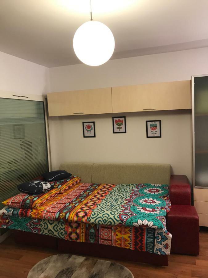 Idefix Apartment คลูจ-นาโปกา ภายนอก รูปภาพ